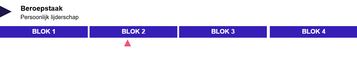 Evaluatievoortgang - Persoonlijk Leiderschap